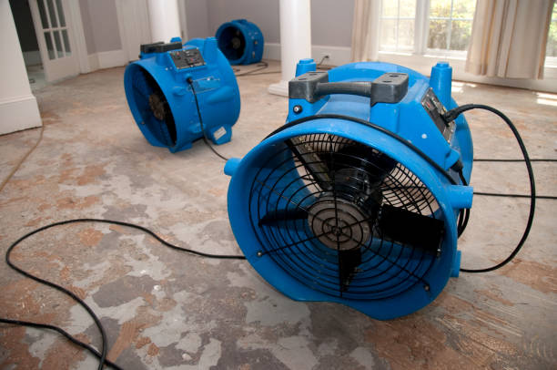Best Commercial water damage restoration  in Highland Lakes, NJ