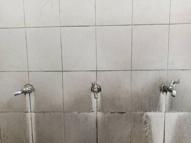 Best Professional water damage repair  in Highland Lakes, NJ