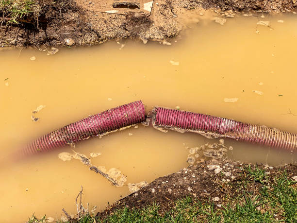Best 24-hour water damage restoration  in Highland Lakes, NJ