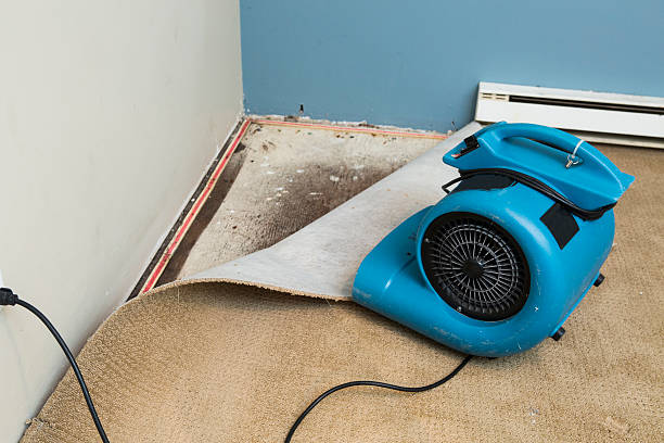 Best Local water damage restoration  in Highland Lakes, NJ